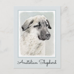 Anatolian Shepherd Painting - Original Dog Art Postcard