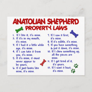 ANATOLIAN SHEPHERD Property Laws 2 Postcard