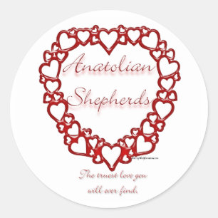 Anatolian Shepherd True Love - Sticker