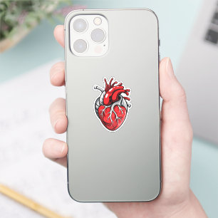 Anatomic Heart