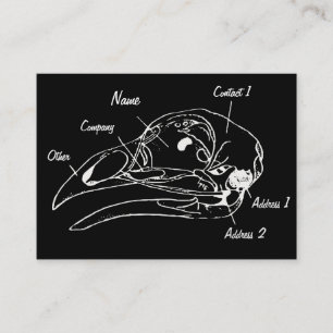 Anatomical Bird Skull Illustration Business Card