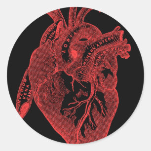 Anatomical Black Heart Classic Round Sticker