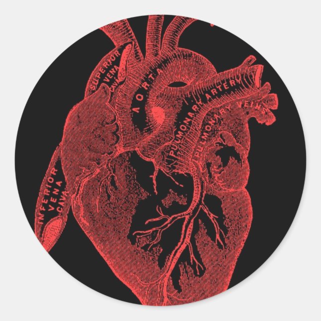 Anatomical Black Heart Classic Round Sticker (Front)