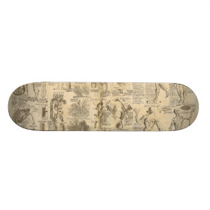Anatomical Chart from Cyclopaedia 1728 Skateboard