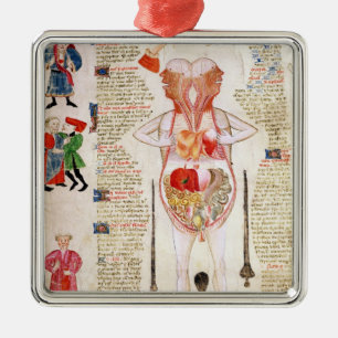 Anatomical diagram metal tree decoration