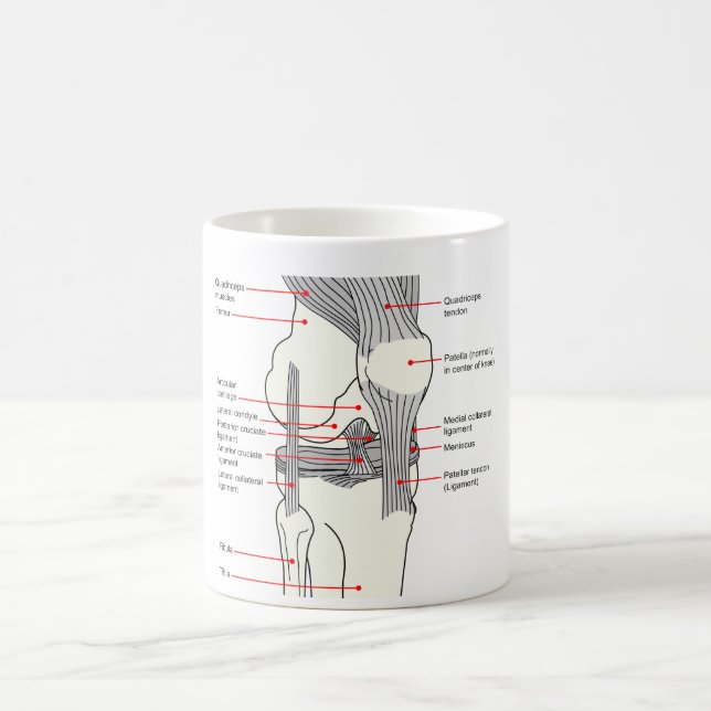 Anatomical Diagram of a Human Right Knee Joint Coffee Mug (Center)