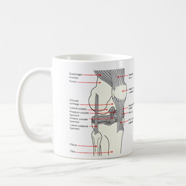 Anatomical Diagram of a Human Right Knee Joint Coffee Mug (Left)