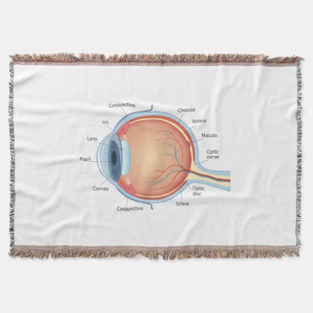 Anatomical diagram of eye throw blanket (Front)