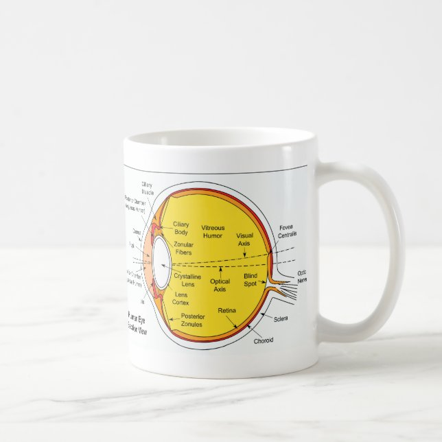 Anatomical Diagram of the Human Eye Ball Coffee Mug (Right)