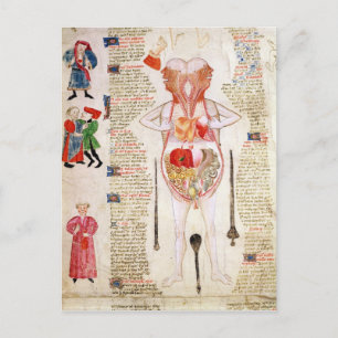 Anatomical diagram postcard