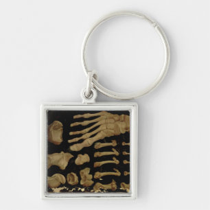 Anatomical drawing of the bones of the foot key ring