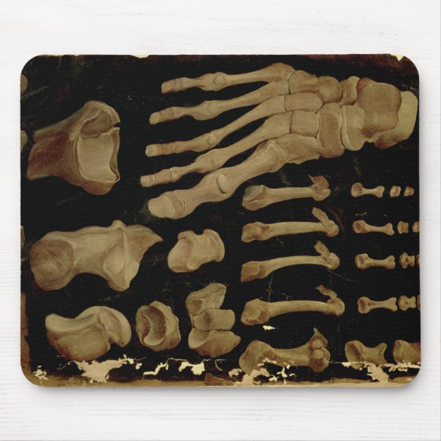 Anatomical drawing of the bones of the foot mouse pad (Front)