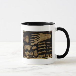Anatomical drawing of the bones of the foot mug