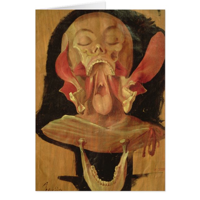 Anatomical drawing of the head (Front)