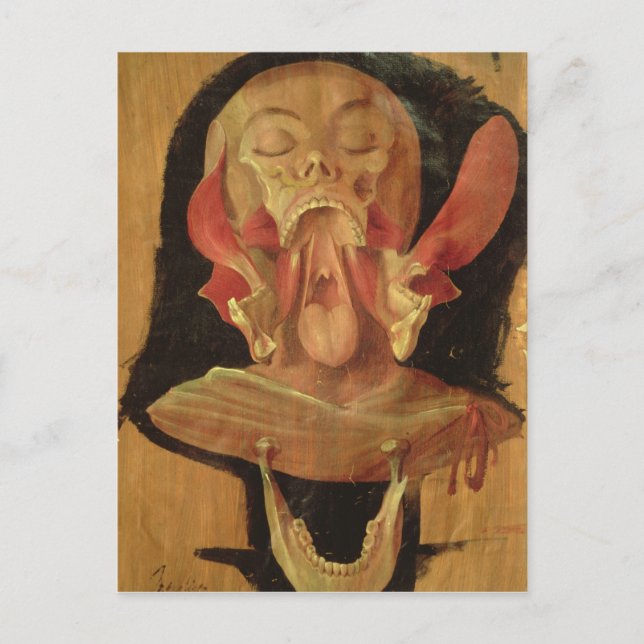 Anatomical drawing of the head postcard (Front)