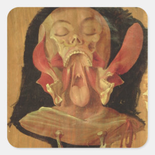 Anatomical drawing of the head square sticker