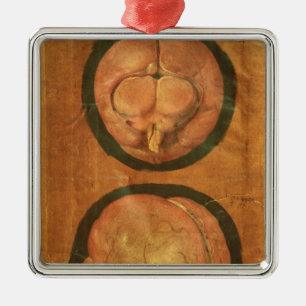 Anatomical drawing of the human brain metal tree decoration
