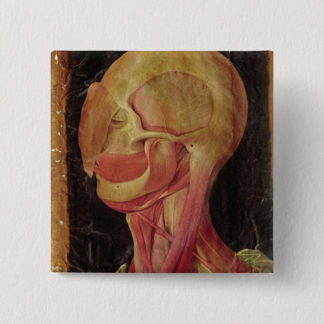 Anatomical drawing of the human head 15 cm square badge (Front)