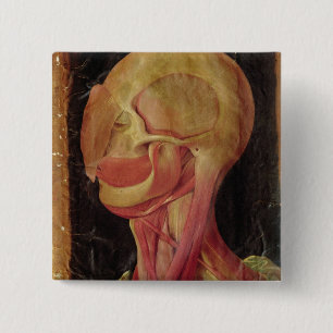 Anatomical drawing of the human head 15 cm square badge