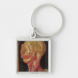 Anatomical drawing of the human head key ring