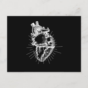 Anatomical Heart Black & White Collection Postcard
