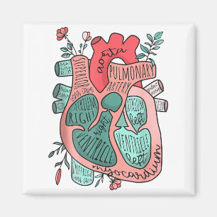 Anatomical Heart Cardiology Icu Cvicu Nurse In The Magnet