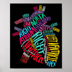 Anatomical Heart Design Cardiac Cardiovascular Icu Poster