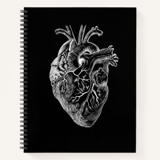 Anatomical Heart Drawing Notebook