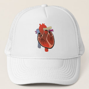 ANATOMICAL HEART DRAWING TRUCKER HAT