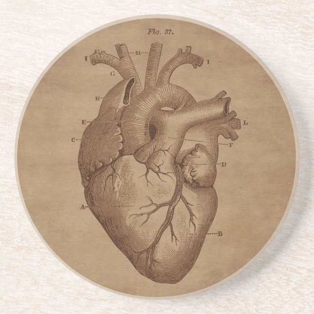 Anatomical Heart Engraving on Aged Paper Coaster (Front)