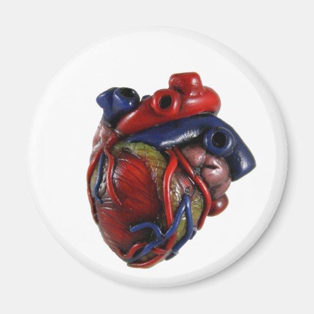 Anatomical Heart Magnet (Front)