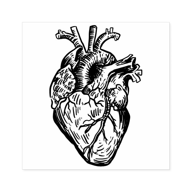 Anatomical Heart Rubber Stamp (Imprint)