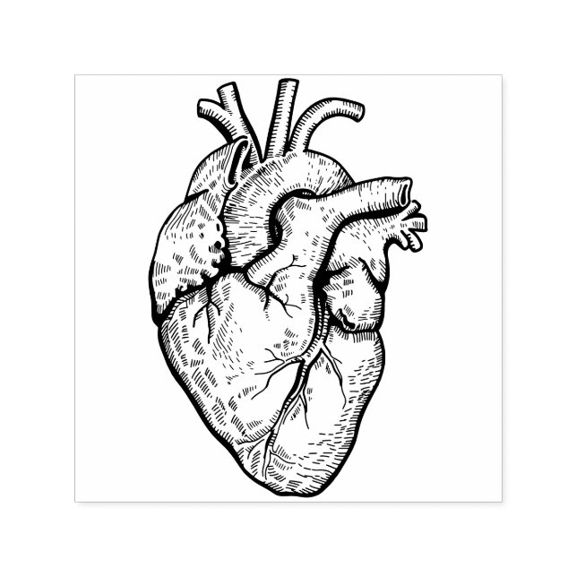 Anatomical Heart Self-inking Stamp (Design)