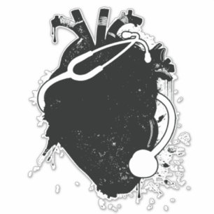 anatomical heart stethoscope