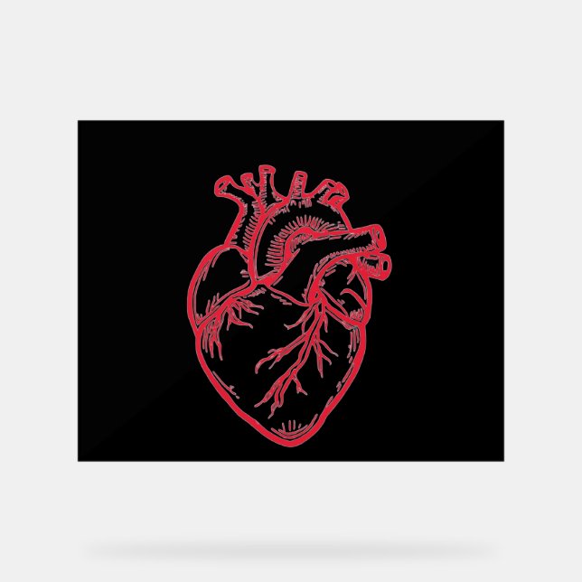 Anatomical Heart Valentine Shirt Acrylic Sign (Front)