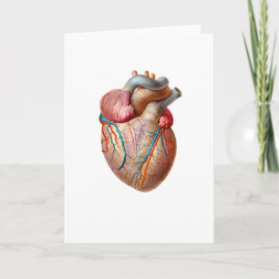 Anatomical Heart Valentines Day Card