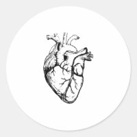 Anatomical Heart Vintage Line Art