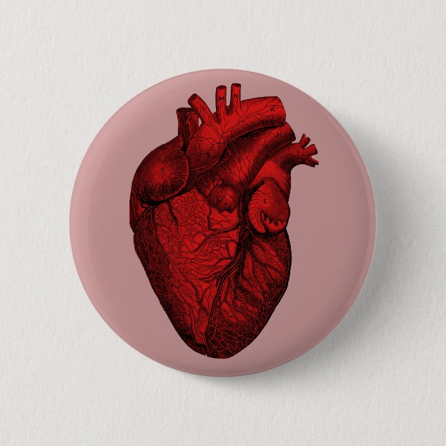 Anatomical Human Heart 6 Cm Round Badge (Front)
