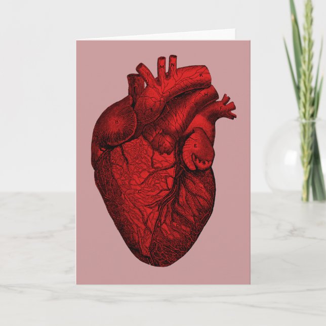 Anatomical Human Heart Card (Front)