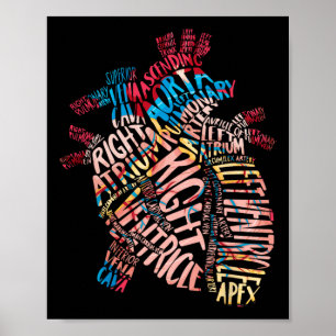 Anatomical Human Heart Cardiology Medical Cardiac Poster