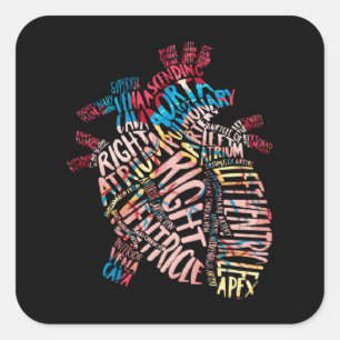Anatomical Human Heart Cardiology Medical Cardiac Square Sticker