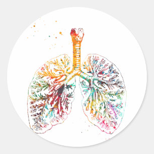 Anatomical Lungs Classic Round Sticker