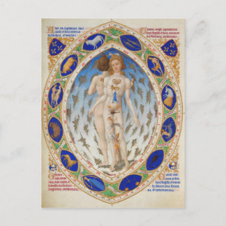 Anatomical Man in Duke Berry's Très Riches Heures Postcard