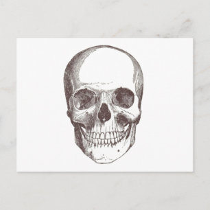 Anatomical Skull, Black/White Postcard