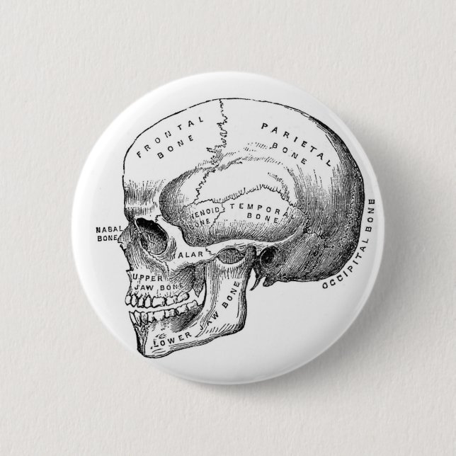 Anatomical Skull Pin Button (Front)