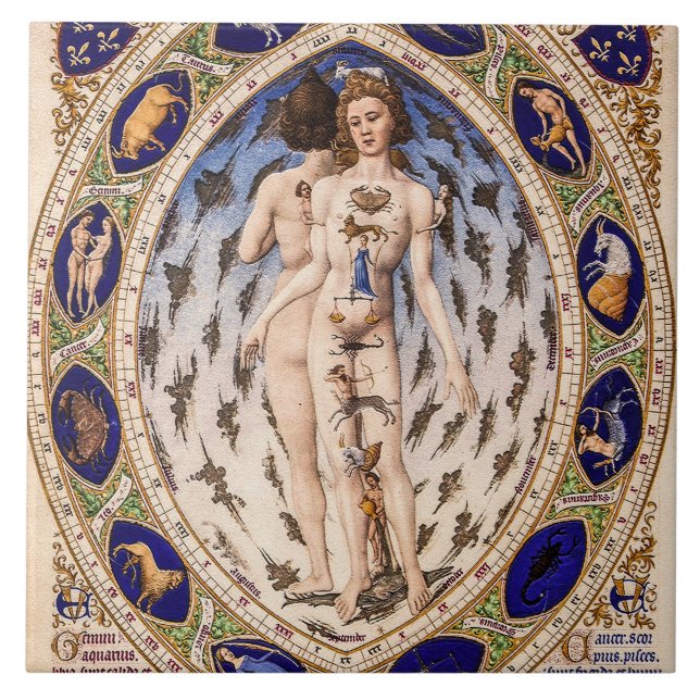  Anatomical Zodiac Man Ceramic Tile (Front)