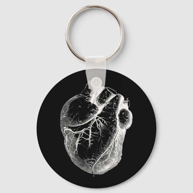 Anatomically Correct Heart Key Ring (Front)