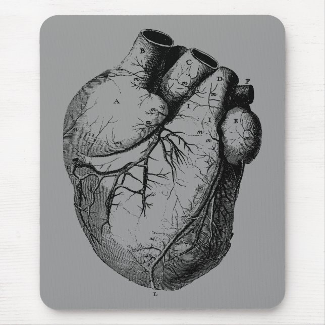 Anatomically Correct Heart Mouse Pad (Front)
