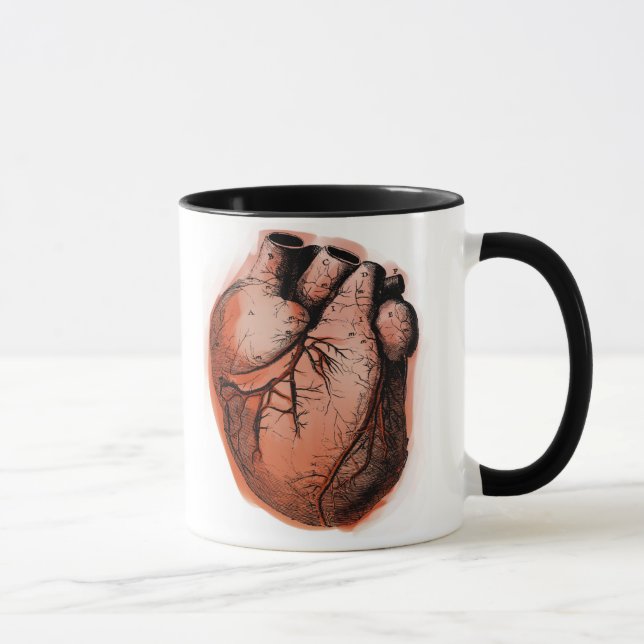 Anatomically Correct Heart Mug (Right)