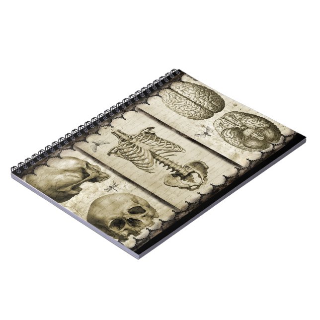 Anatomise Notebook (Left Side)